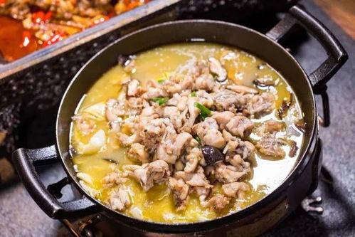 爆料牛蛙视频大全最新版,最新版爆料，趣味横生瞬间回顾  第3张