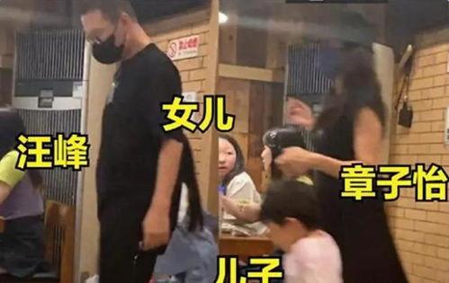 刘大锤直播间爆料汪峰视频,汪峰神秘视频幕后真相  第2张